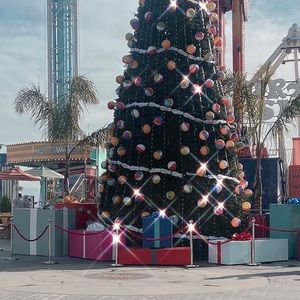 Meet your Posher, Mariam